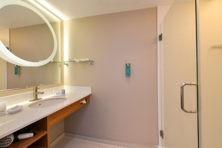 Bathroom 4, SpringHill Suites Kingman Route 66, Mohave