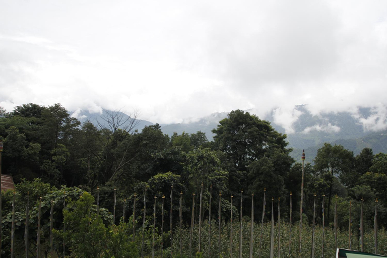 Others 5, Vamoose Gomethang Homestay, South Sikkim