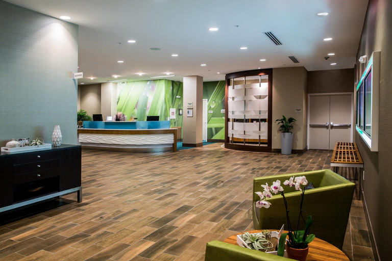 Public Area 2, Springhill Suites by Marriott Charleston Mount Pleasant, Charleston