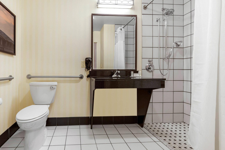Bathroom 4, Fairfield Inn Suites Rockford, Winnebago