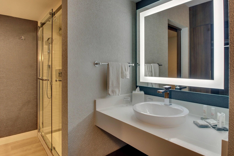 Bathroom, Marriott Huntsville At The Space & Rocket Center, Madison