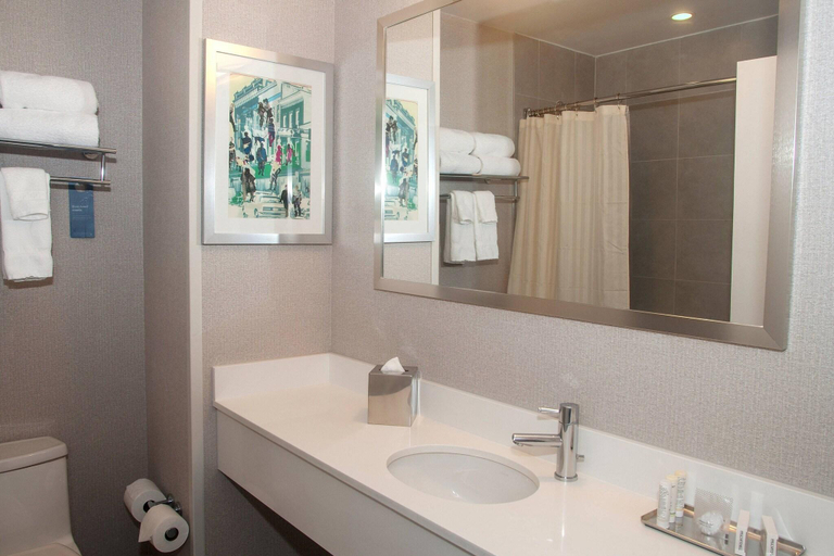 Bathroom 4, Fairfield Inn & Suites by Marriott New York Brooklyn, New York