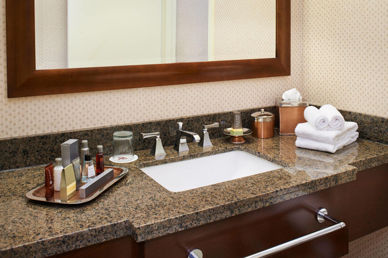 Bathroom 4, Detroit Marriott Livonia, Wayne