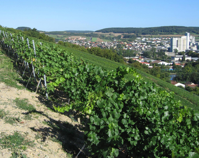 Others 3, Weinstube Schwalbennest, Main-Spessart