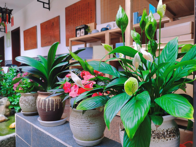 Exterior & Views 2, Chengdu Dreams Travel Wenjun Courtyard Hotel Kuanz, Chengdu