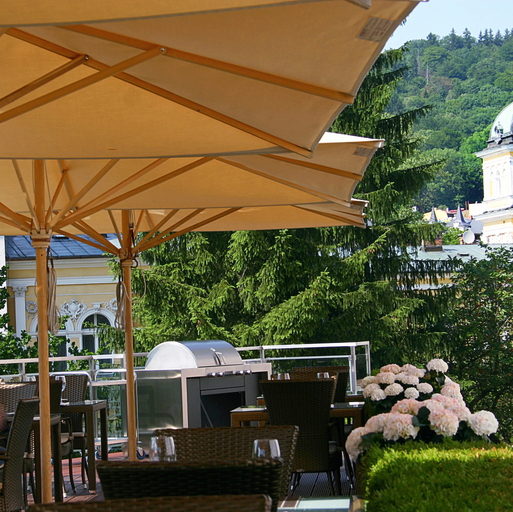 Food & Drinks 5, Gourmet Hotel VILLA PATRIOT, Cheb