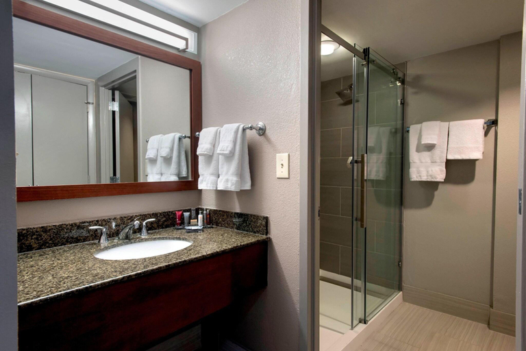 Bathroom, Marriott Albany, Albany
