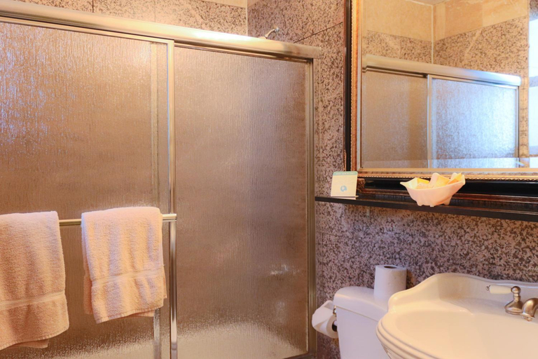 Bathroom 4, Da Vinci Hotel, New York