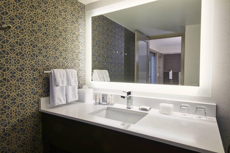 Bathroom, Detroit Marriott Troy, Oakland