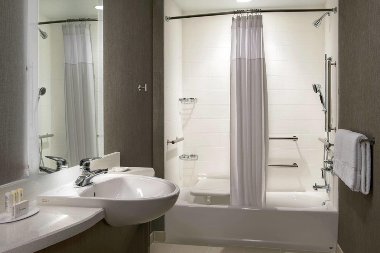 Bathroom 4, Springhill Suites By Marriott Tampa Suncoast Parkw, Pasco