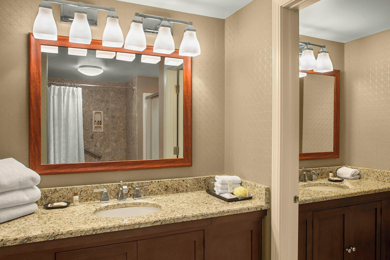 Bathroom 4, Sheraton Suites Akron Cuyahoga Falls, Summit