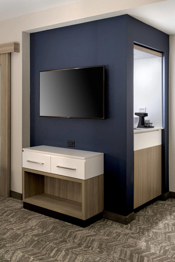 Bedroom 3, Springhill Suites By Marriott Tampa Suncoast Parkw, Pasco