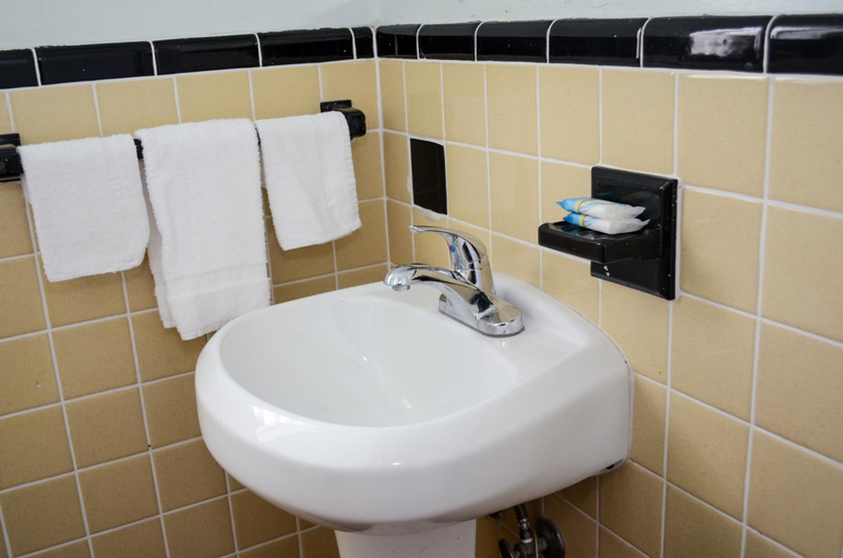 Bathroom 1, Economy Inn, Palm Beach