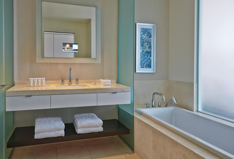 Bathroom 4, HOTEL ARISTA AT CITYGATE CENTER, Dupage