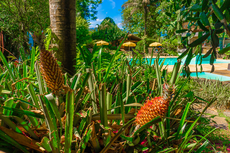 Public Area 2, Pousada Jamboo, Ubatuba