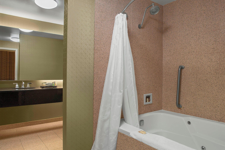 Bathroom 4, Sheraton Suites Akron Cuyahoga Falls, Summit