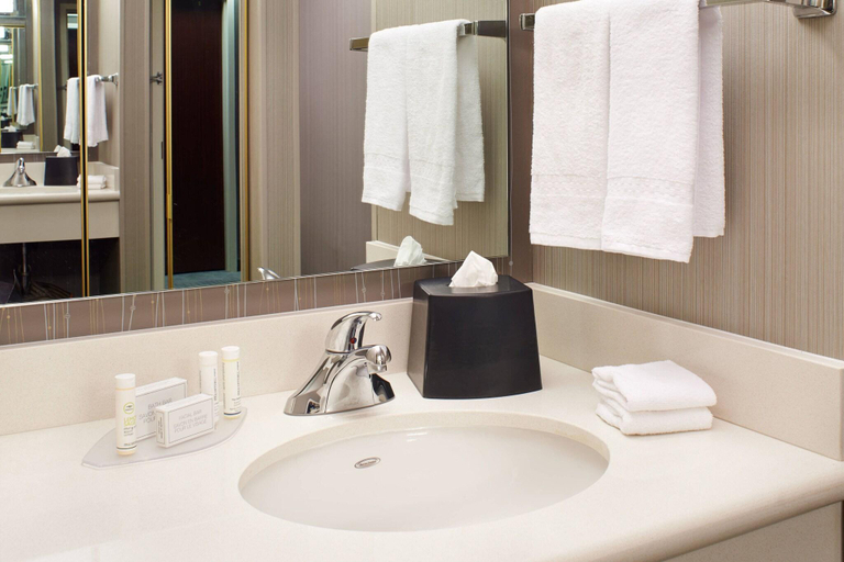 Bathroom 4, Courtyard by Marriott Toledo Rossford/Perrysburg, Wood