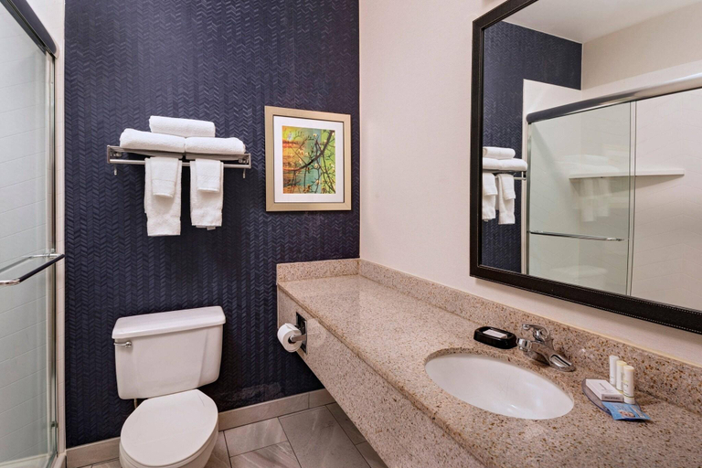 Bathroom 4, Fairfield Inn by Marriott St. Louis Collinsville, , Madison