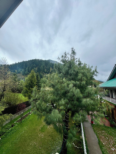 Others 4, Rahat Cottage Pahalgam, Anantnag