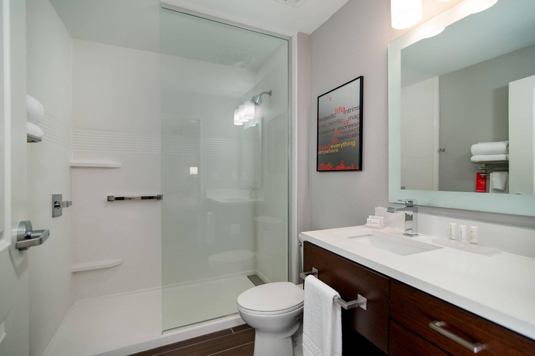 Bathroom 4, TownePlace Suites Fort Worth University Area/Medic, Fort Worth