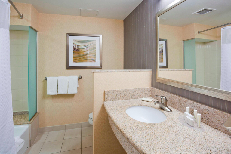 Bathroom 4, Courtyard Rochester St. Mary, Olmsted