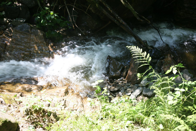Others 5, Turnerhof, Spittal an der Drau