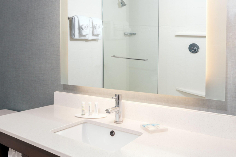 Bathroom 4, Residence Inn Charlottesville Downtown, Charlottesville