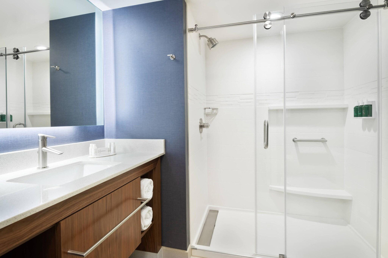 Bathroom 5, Residence Inn by Marriott Dallas DFW Airport West/, Tarrant