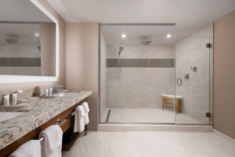 Bathroom 4, Marriott Dallas Allen Hotel & Convention Center, Collin