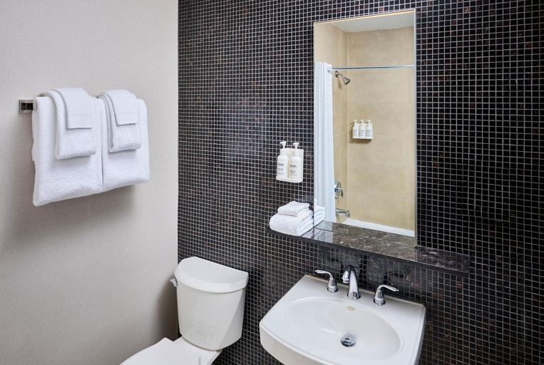 Bathroom 5, Hotel Victoria, Toronto
