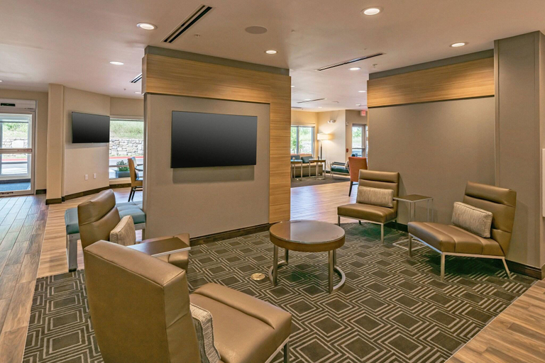Public Area, TownePlace Suites by Marriott Austin South, Travis