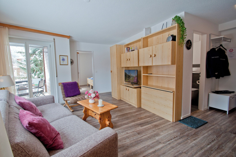 Others 4, Apartment Anemone, Visp