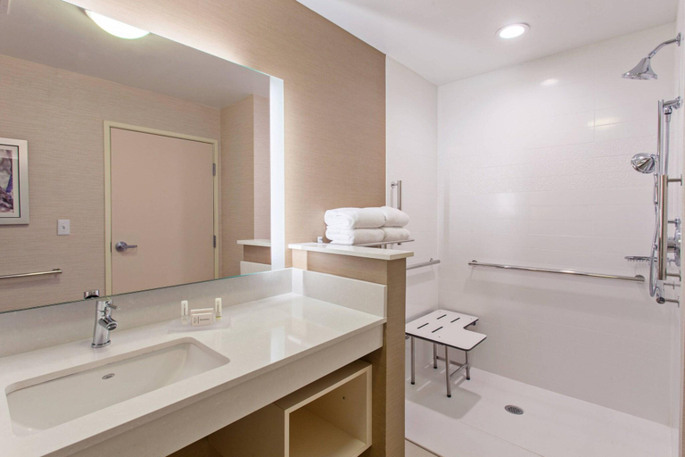Bathroom, Fairfield Inn & Suites Tucumcari, Quay