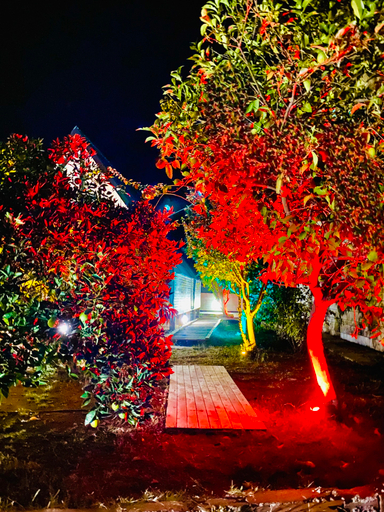 Public Area 2, Garden Bungalow, Antalya