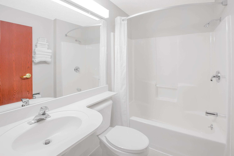 Bathroom 3, Microtel Inn & Suites by Wyndham Manistee, Manistee