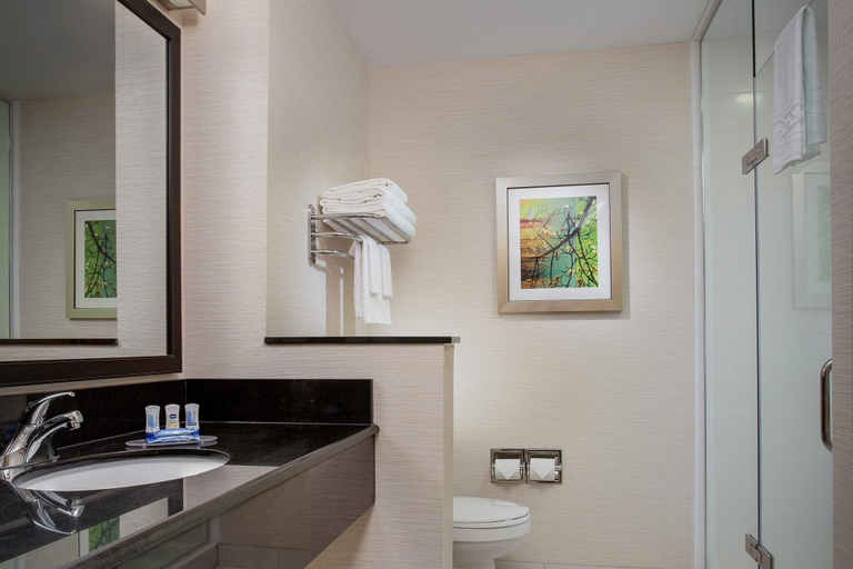 Bathroom 4, Fairfield Inn & Suites Anderson, Madison