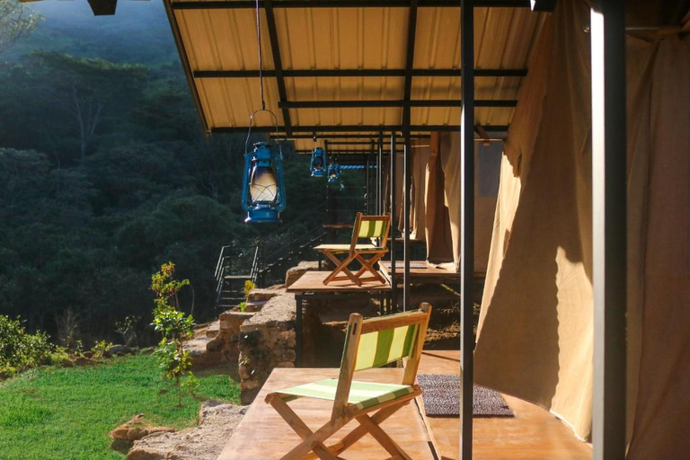 Others 5, Wild Glamping Knuckles - Thema Collection, Madulla