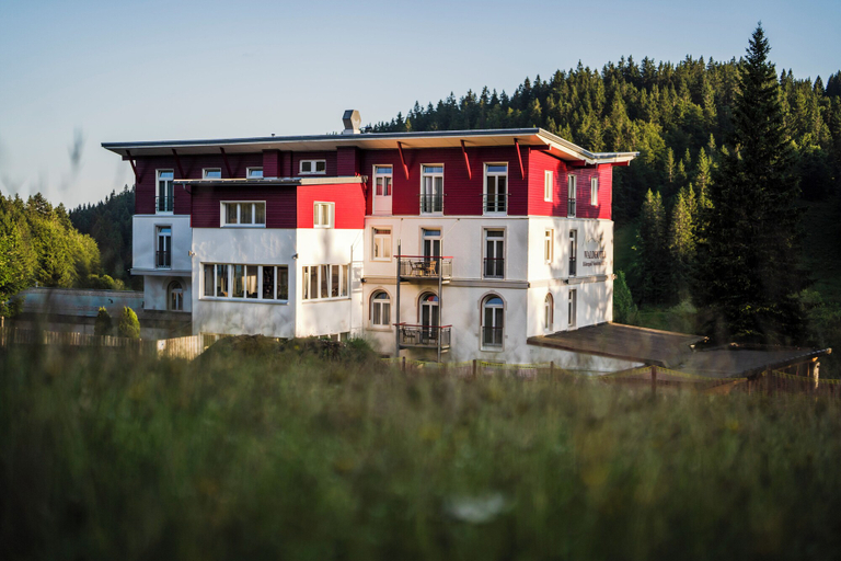 Exterior & Views 2, Waldhotel am Notschreipass, Breisgau-Hochschwarzwald