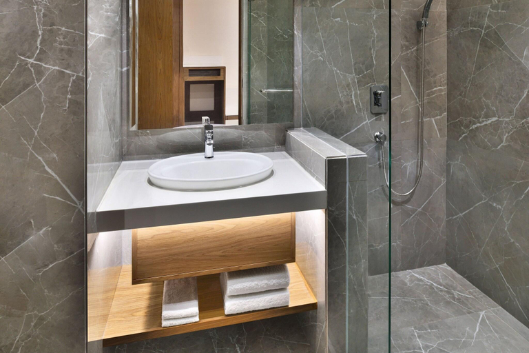 Bathroom 5, Le Meridien Hyderabad, Hyderabad