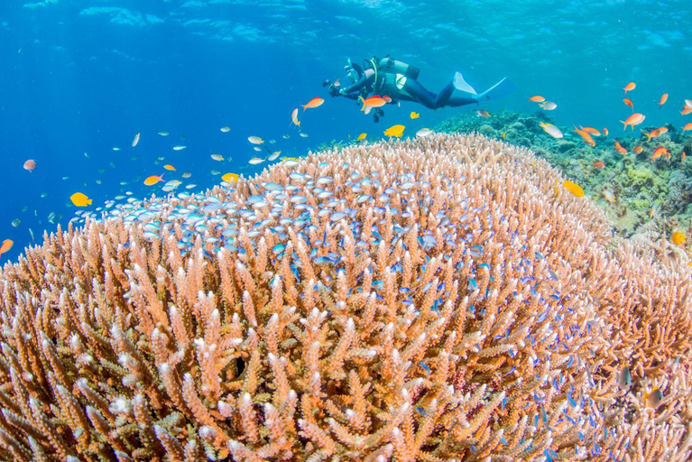 Attractions 4, Ecot Sunayama Beach, Miyakojima