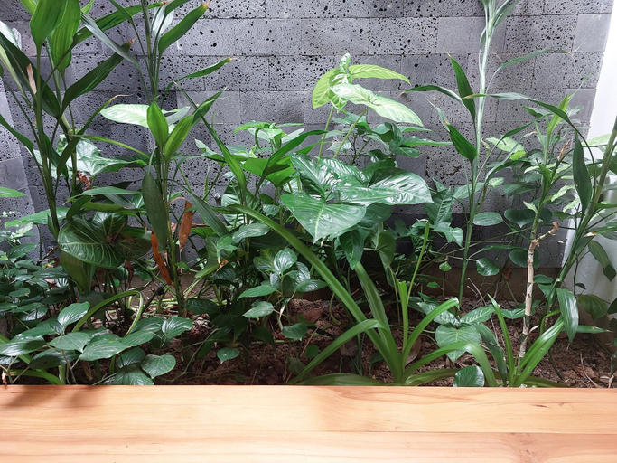 Food & Drinks, Melody Riverside Homestay, Huế