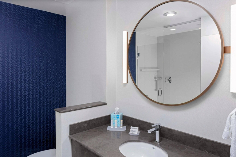 Bathroom 5, Fairfield Inn & Suites by Marriott Memphis Collierville, Shelby
