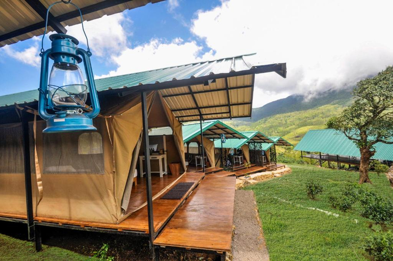 Others 4, Wild Glamping Knuckles - Thema Collection, Madulla