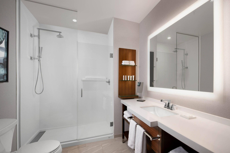Bathroom 4, Marriott Dallas Allen Hotel & Convention Center, Collin
