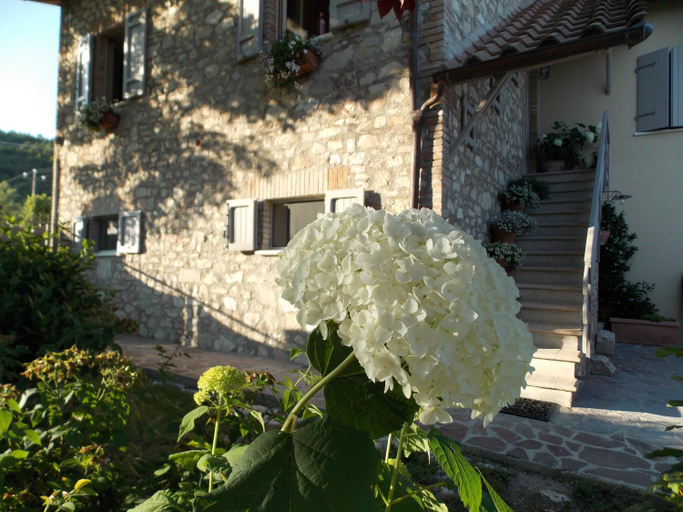 Others 5, B&B Nonna Rosa, Perugia
