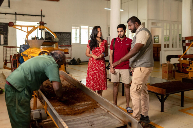 Public Area, Tea & Experience Factory, Hanguranketha