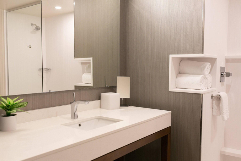 Bathroom 5, Courtyard by Marriott Elkhart, Elkhart