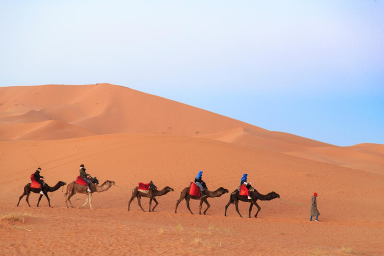 Others 4, Sahara Desert Luxury Camp, Errachidia