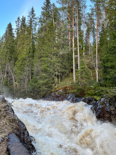 Others 5, Gard Morbacka Bed & Breakfast, Torsby