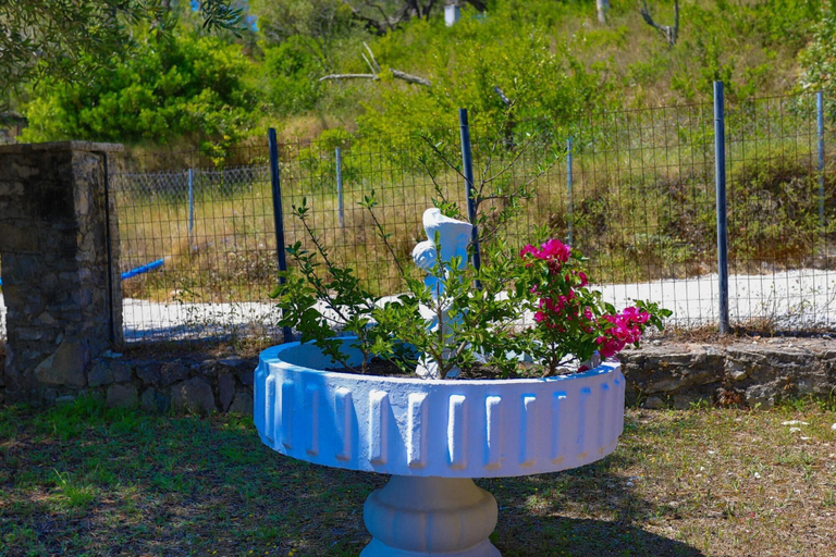 Room 3, Antigoni Villa Dio in Longos, Ionian Islands